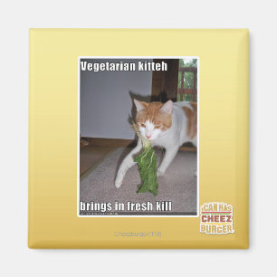 Vegetariska Kitteh Magnet