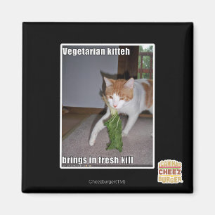 Vegetariska Kitteh Magnet