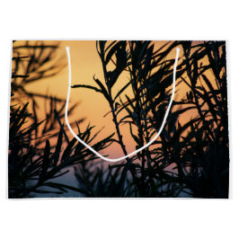 Vegetation vid solnedgång