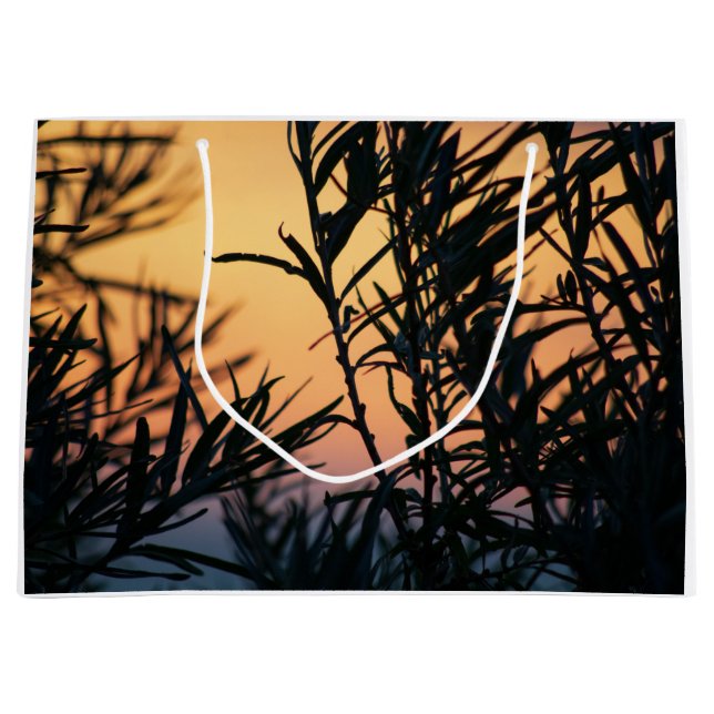 Vegetation vid solnedgång (Framsidan)