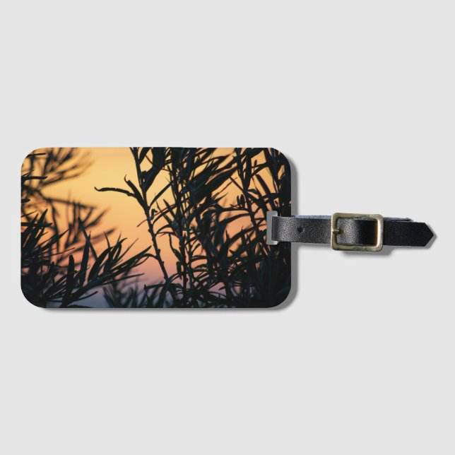 Vegetation vid solnedgång bagagebricka (Framsida horisontal)