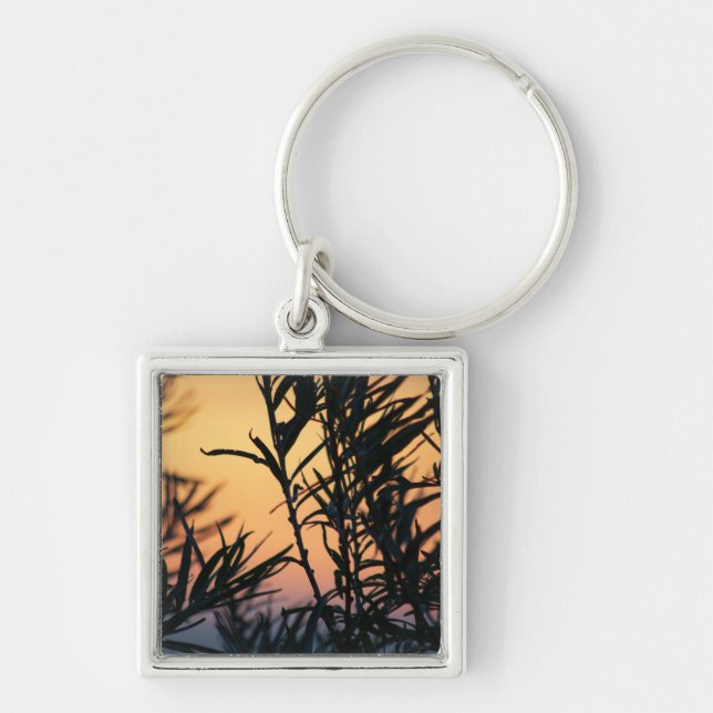 Vegetation vid solnedgång fyrkantig silverfärgad nyckelring (Framsidan)