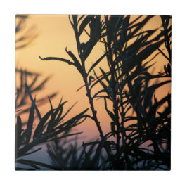 Vegetation vid solnedgång kakelplatta