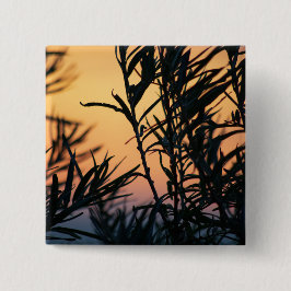 Vegetation vid solnedgång knapp