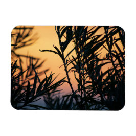 Vegetation vid solnedgång magnet