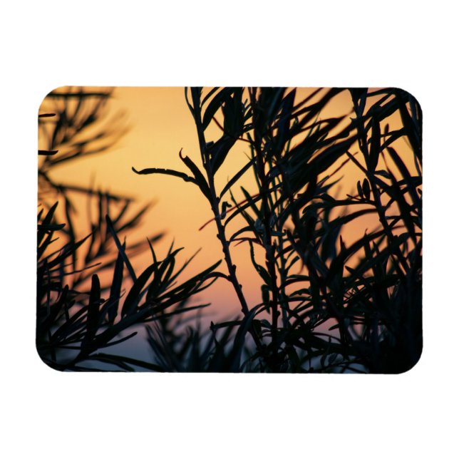 Vegetation vid solnedgång magnet (Horisontell)