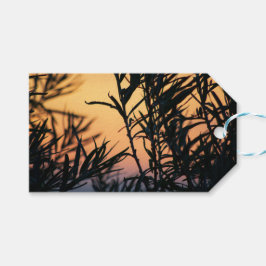 Vegetation vid solnedgång presentetikett