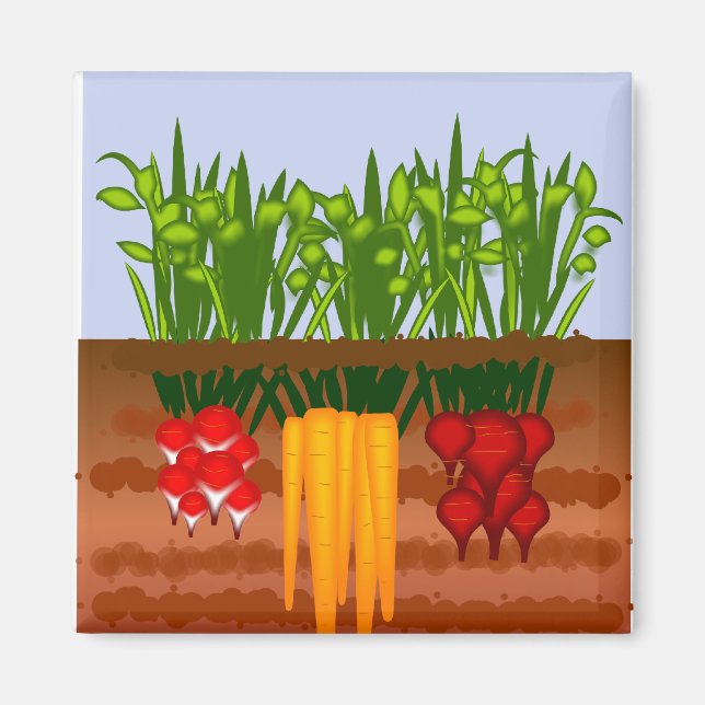 Veggie Garden Magnet (Framsidan)