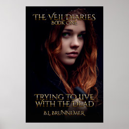 Veil Diaries Bok I Poster
