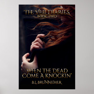 Veil Diaries Bok II Poster