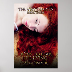 Veil Diaries Bok III Poster