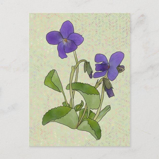 Veilchen Vykort (Framsida)