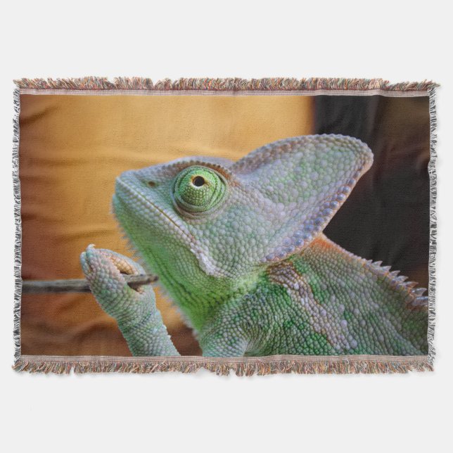 Veiled Chameleon Filt (Framsidan)