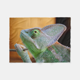 Veiled Chameleon Fleecefilt