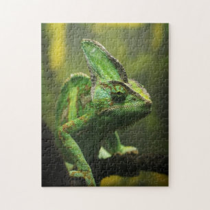 Veiled chameleon jigszawa pussel