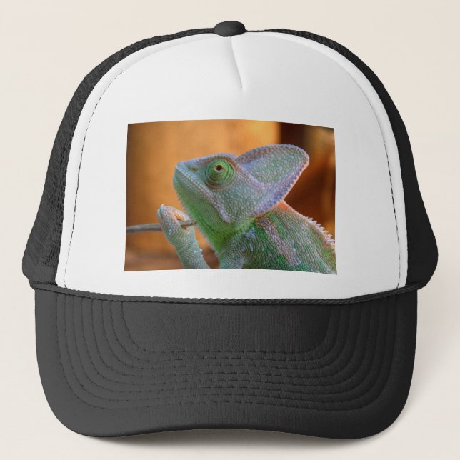 Veiled Chameleon Keps (Framsida)