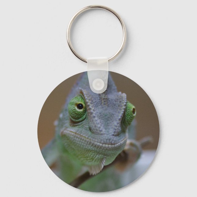 Veiled Chameleon Nyckelring (Framsida)
