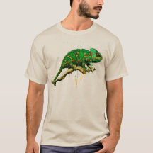 Veiljd Chameleon Watercolor Reptile