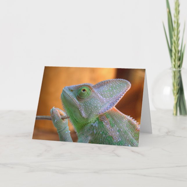 Veilt Chameleon Kort (Framsida)