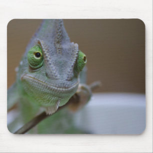 Veilt Chameleon Musmatta