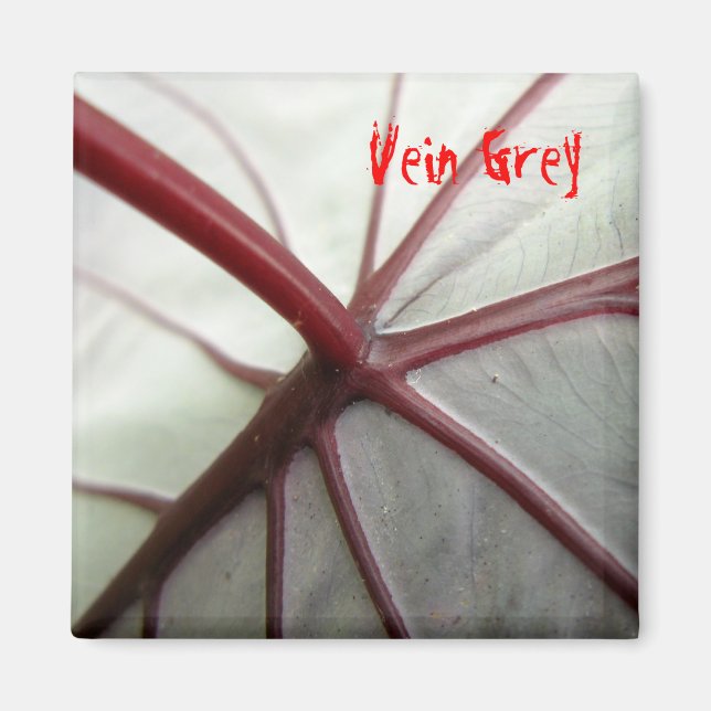 Vein Grått Magnet (Framsidan)