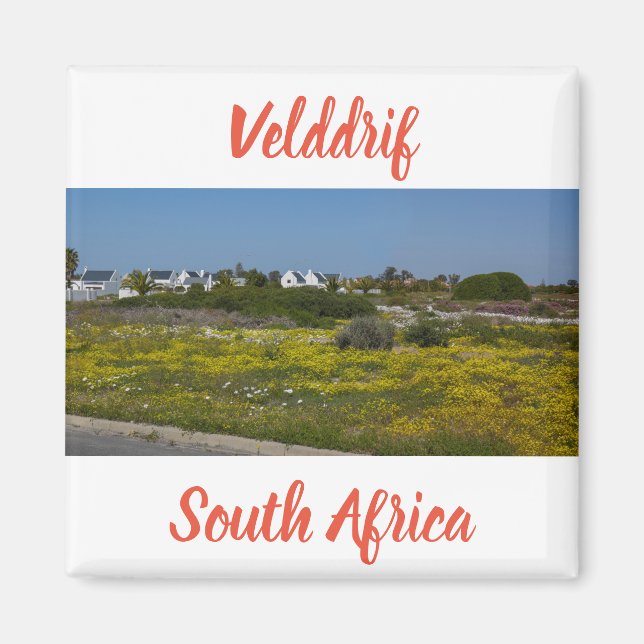 Velddrif Väster Vild Flowers South Afrika SA Magnet (Framsidan)
