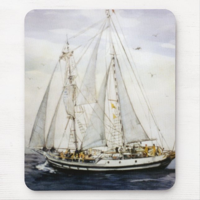 Velero/Veleiro/Segelbåt Musmatta (Framsidan)