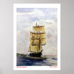 Velero/Veleiro/Segelbåt Poster