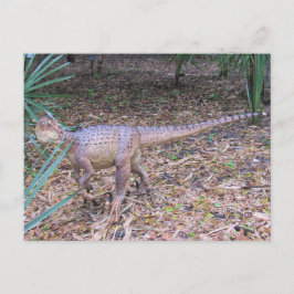Velociraptor - Inosaur - Inlärningskort Vykort