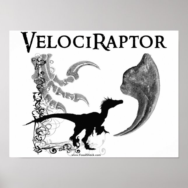 Velociraptor Poster (Framsidan)