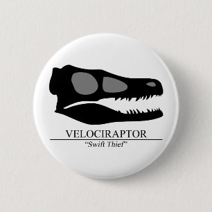 Velociraptor Skull Knapp
