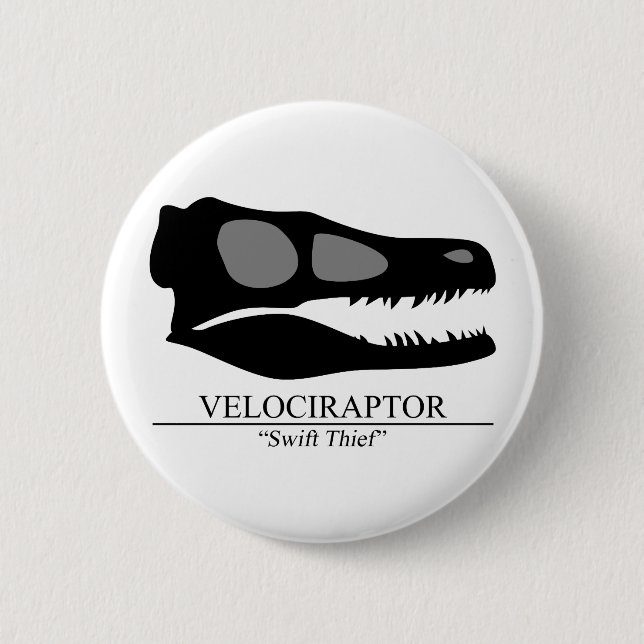 Velociraptor Skull Knapp (Framsida)