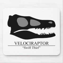 Velociraptor Skull Musmatta