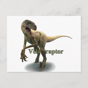 Velociraptor Vykort