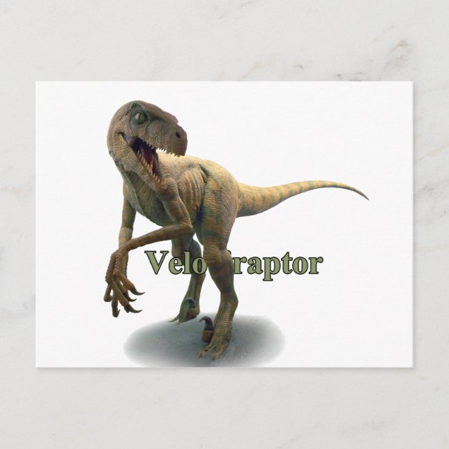 Velociraptor Vykort (Framsida)