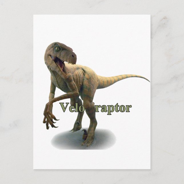 Velociraptor Vykort (Framsida)