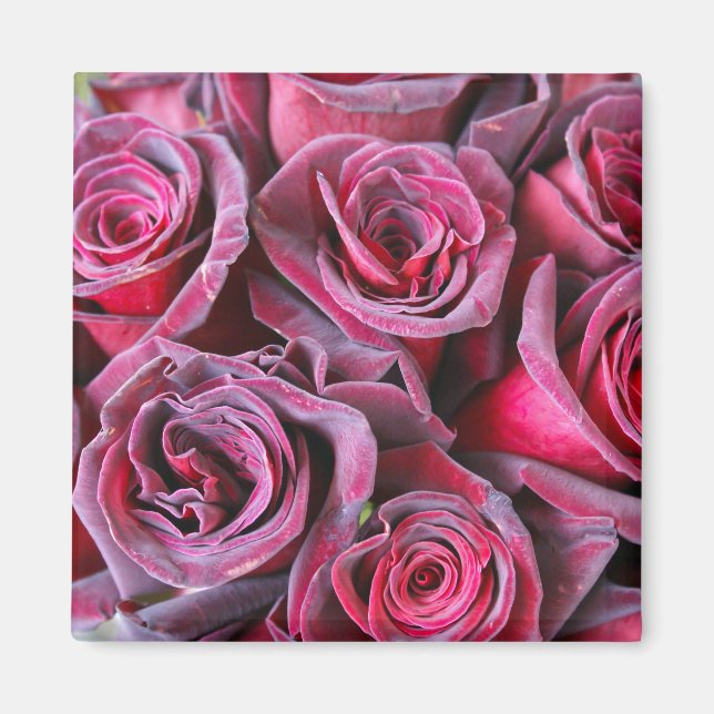 Velvet Beauty Magnet (Framsidan)