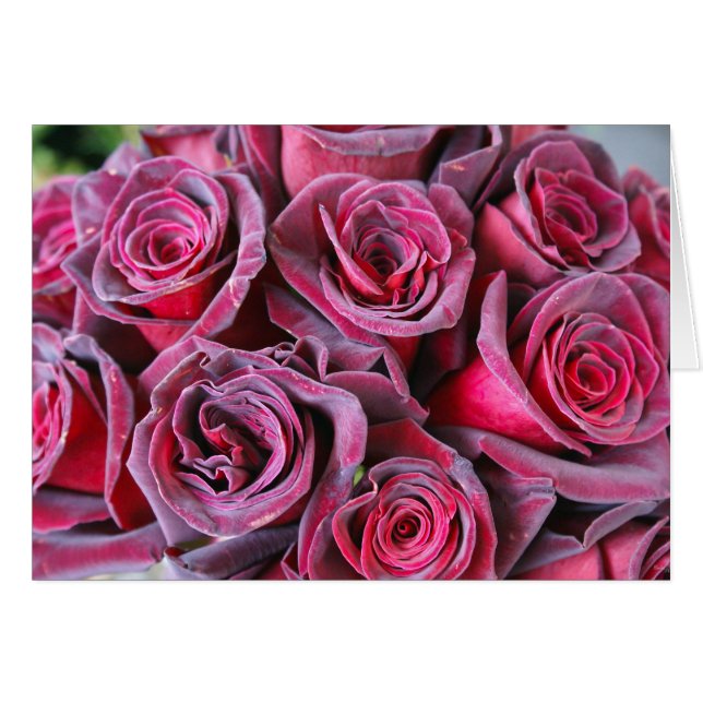 Velvet Beauty OBS Kort (Framsidan Horizontal)