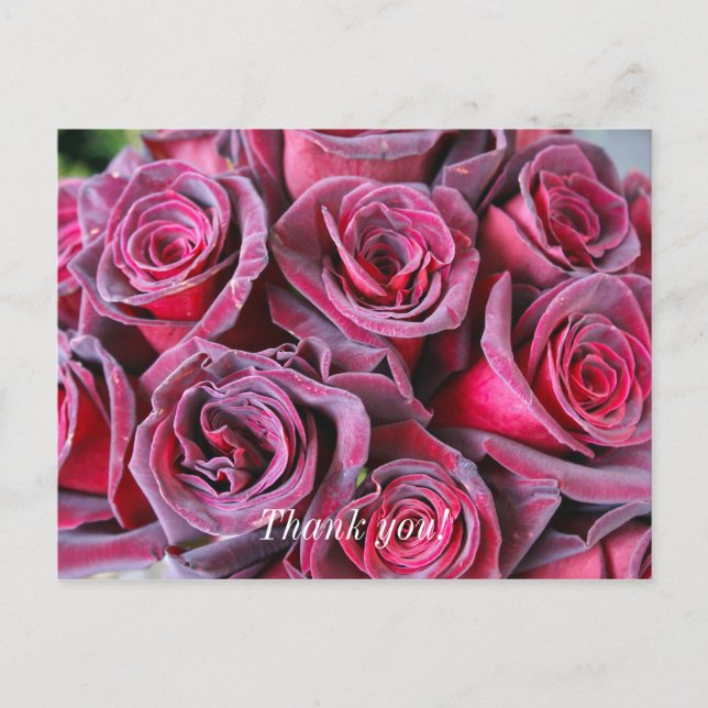 Velvet Beauty Tack vykort (Framsida)