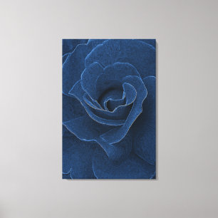 Velvet blue ro canvastryck