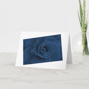 Velvet blue ro kort