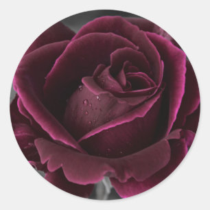 Velvet Burgundy Ro Runt Klistermärke