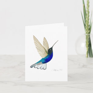 Velvet-lila Coronet Hummingbird Card Kort