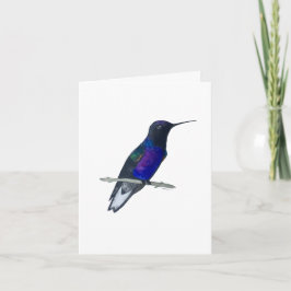 Velvet-lila Coronet Hummingbird Kort