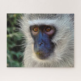 Velvet Monkey. Pussel
