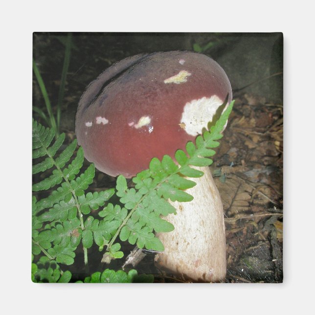 Velvet Mushroom Magnet (Framsidan)
