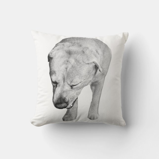 Velvet-Tone Labrador, Gentle Gaze Kudde (Framsida)