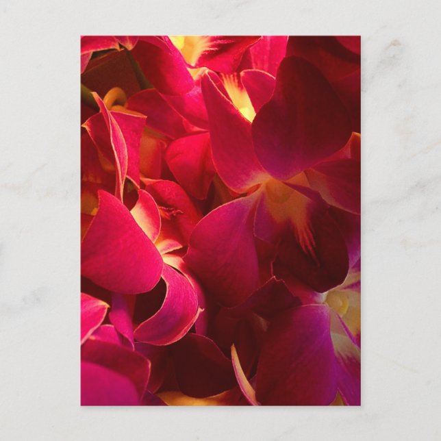 Velvet Vykort (Framsida)