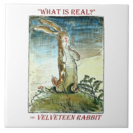 Velveteen-kaninen av Margery Williams Kakelplatta