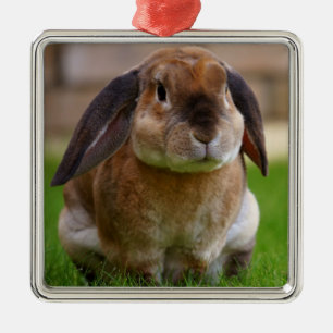 Velveteen Lop Bunny Rabbit Julgransprydnad Metall